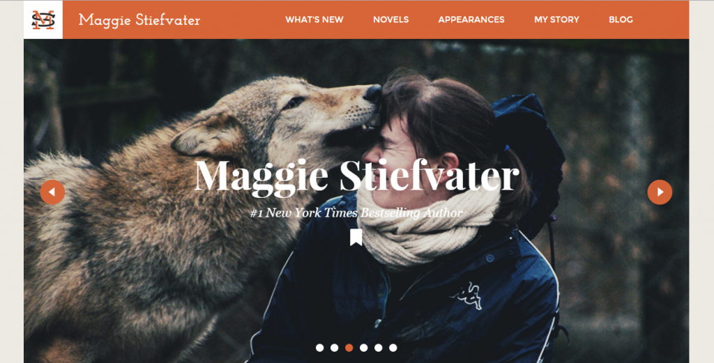 A screen capture of author Maggie Stielvater's website showing the menu listing of Blog.